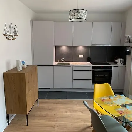 Dans Le Vieux Bourg De St Prex Appartement Saint-Prex