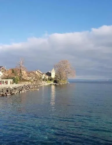 Dans Le Vieux Bourg De St Prex *