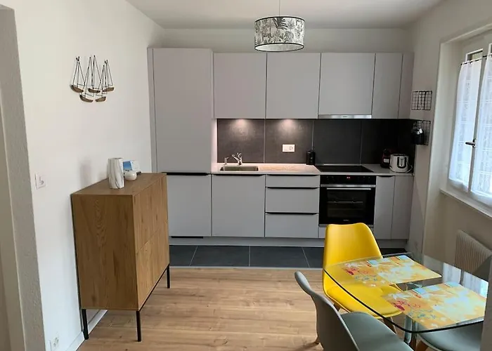 Dans Le Vieux Bourg De St Prex Appartement Saint-Prex